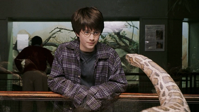 Imagem da notícia Harry Potter: Nova espécie de víbora é batizada de Salazar em homenagem a Sonserina