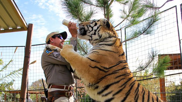 Imagem da notícia A Máfia dos Tigres: Netflix planeja lançar mais um episódio