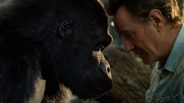 Imagem da notícia The One and Only Ivan: Filme do Disney+ com Bryan Cranston ganha trailer