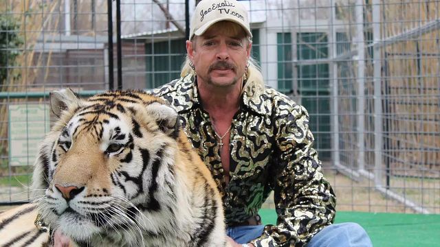 Imagem da notícia A Máfia dos Tigres: Zoológico de Joe Exotic será fechado e transformado em set de filmagem