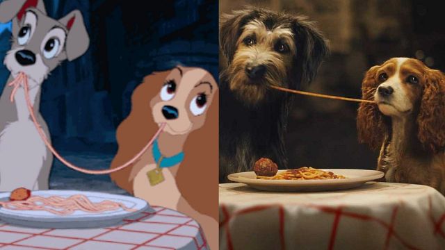 Filme live action de 'A Dama e o Vagabundo' tem elenco com cachorros  resgatados