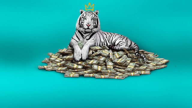 Imagem da notícia O Tigre Branco da Netflix é baseado em fatos reais? 