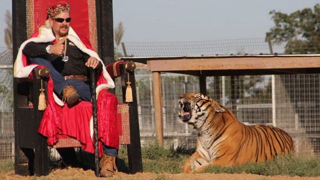 Imagem da notícia A Máfia dos Tigres: 2ª temporada da série da Netflix ganha data de estreia