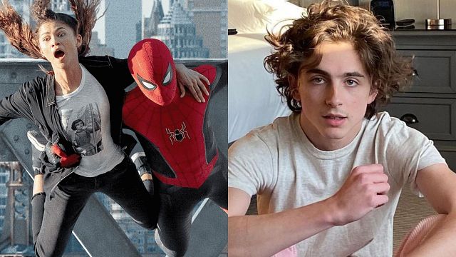 Imagem da notícia Homem-Aranha: Tom Holland e Zendaya querem Timothée Chalamet nos próximos filmes (e já têm o papel perfeito para o ator)