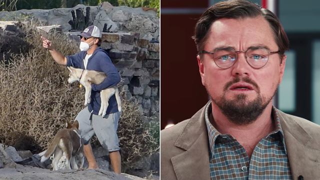 Não Olhe para Cima: Leonardo DiCaprio precisou resgatar seus cães em lugar inusitado enquanto gravava filme