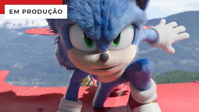 Produtos para assistir Sonic 2: O filme em alta velocidade - Notícias de  cinema - AdoroCinema