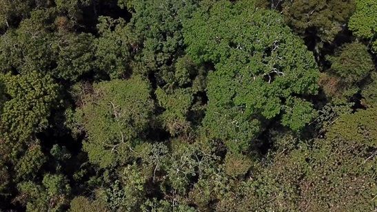 Documentário 'Empate', exibido em Tiradentes, mostra a luta dos  seringueiros no Acre