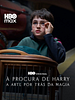 Pôster de À Procura de Harry: A Arte Por Trás da Magia