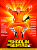 Pôster de O Shaolin do Sertão 2