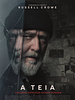 Pôster de A Teia