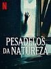 imagem de 