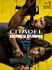Pôster de Citadel: Honey Bunny