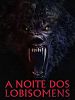 Pôster de A Noite dos Lobisomens