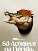 Pôster de  Só Acontece na Flórida