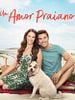 Pôster de Um Amor Praiano