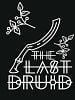 Pôster de The Last Druid