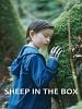 Pôster de Sheep in the Box