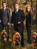 Pôster de Without a Trace