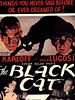 Pôster de O Gato Preto
