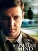 Pôster de Uma Mente Brilhante