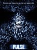 Pôster de Pulse