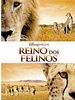 Pôster de Reino dos Felinos