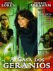Pôster de A Casa dos Gerânios