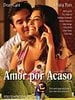 Pôster de Amor por Acaso