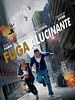 Pôster de Fuga Alucinante