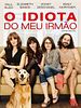 Pôster de O Idiota do Meu Irmão