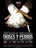 Pôster de Dioses y perros