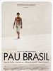 Pôster de Pau Brasil