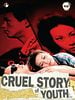 Pôster de Cruel Story of Youth