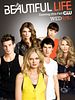 Pôster de The Beautiful Life
