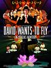 Pôster de David Wants to Fly
