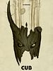 Pôster de Welp