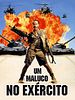 Pôster de Um Maluco no Exército