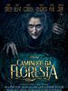 Pôster de Caminhos Da Floresta