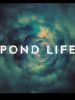 Pôster de Pond Life