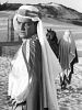 Pôster de O Sheik de Agadir