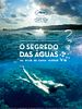 Pôster de O Segredo das Águas