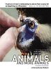 Pôster de Um animal, os animais