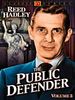 Pôster de The Public Defender