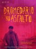 Pôster de Dromedário no Asfalto