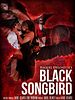 Pôster de Black Songbird