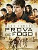Pôster de Maze Runner: Prova de Fogo