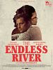 Pôster de The Endless River
