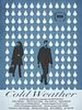 Pôster de Cold Weather