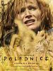 Pôster de The Noonday Witch
