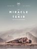 Pôster de O Milagre de Tekir